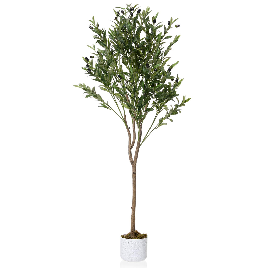 Olivier artificiel Garvee en pot avec 22 fruits, pot en ciment robuste, décoration intérieure pour salon et bureau, vert