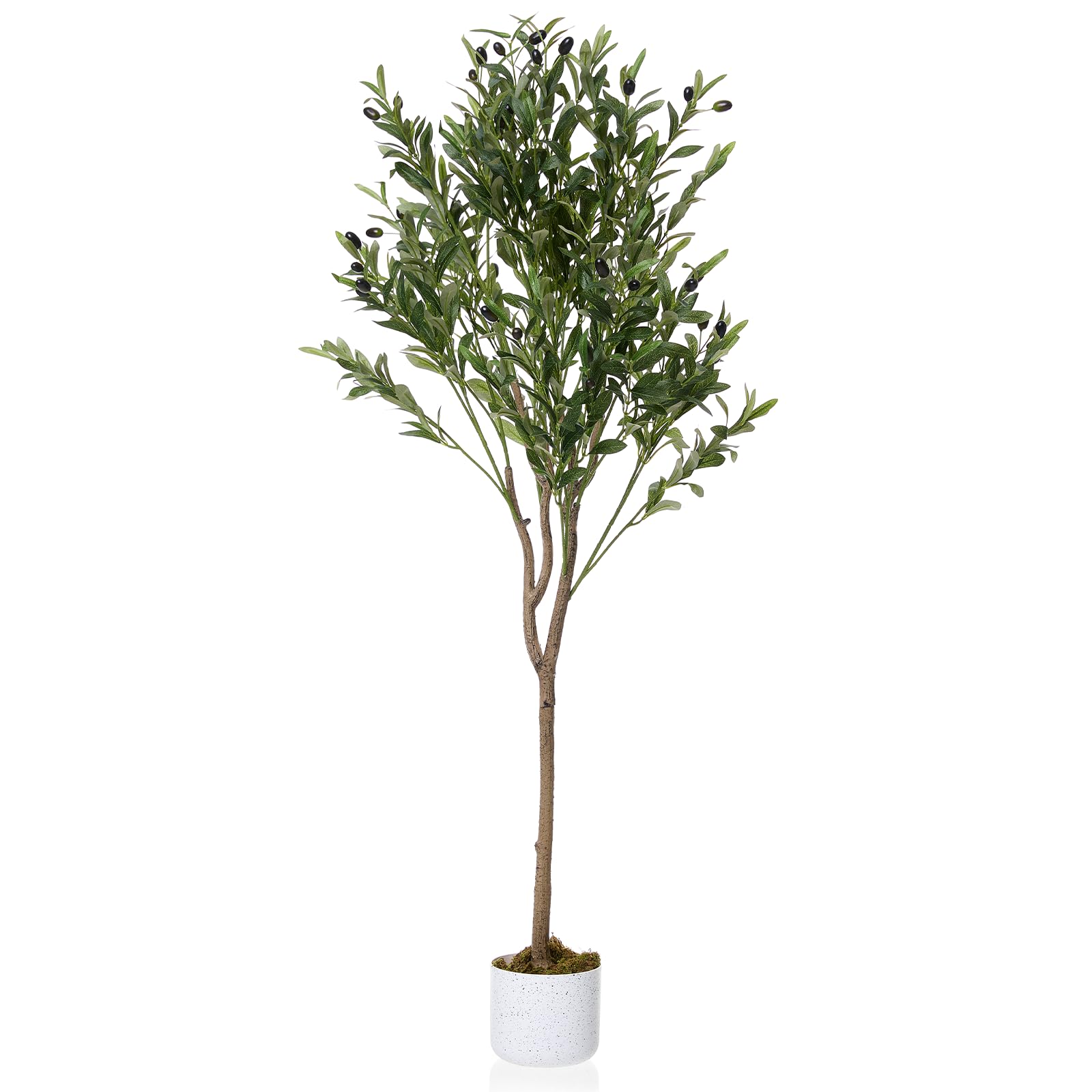 Olivier artificiel Garvee en pot avec 22 fruits, pot en ciment robuste, décoration intérieure pour salon et bureau, vert