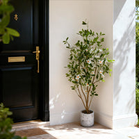 Lot de 2 arbres artificiels d'intérieur Garvee de 1,20 m, réalistes, sans entretien, durables, polyvalents et verts.