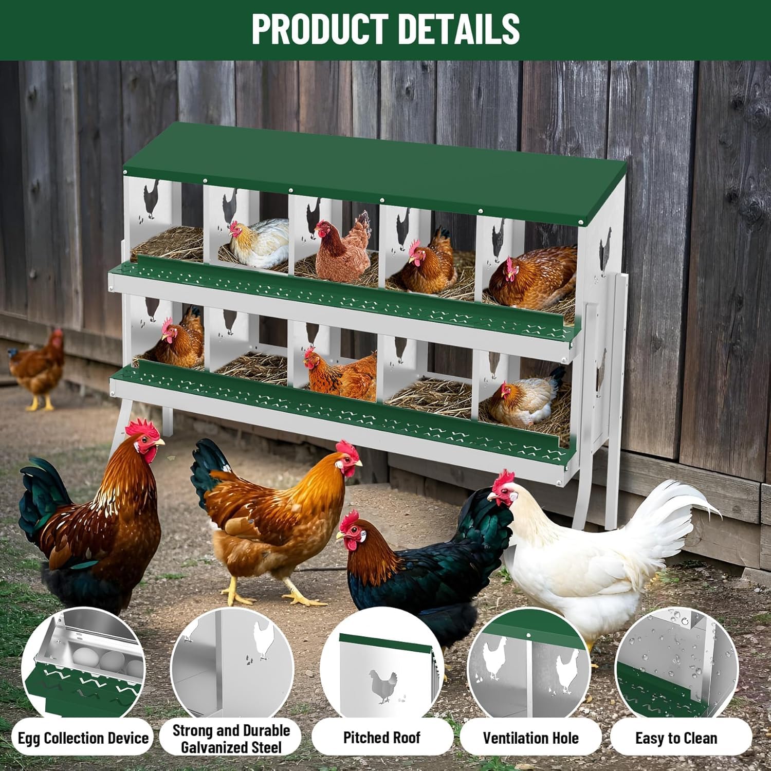 Garvee pondoir pour poules à 10 compartiments avec support métallique, acier galvanisé de 0,7 mm, collecte automatique des œufs, idéal pour poulaillers, fermes et jardins, vert