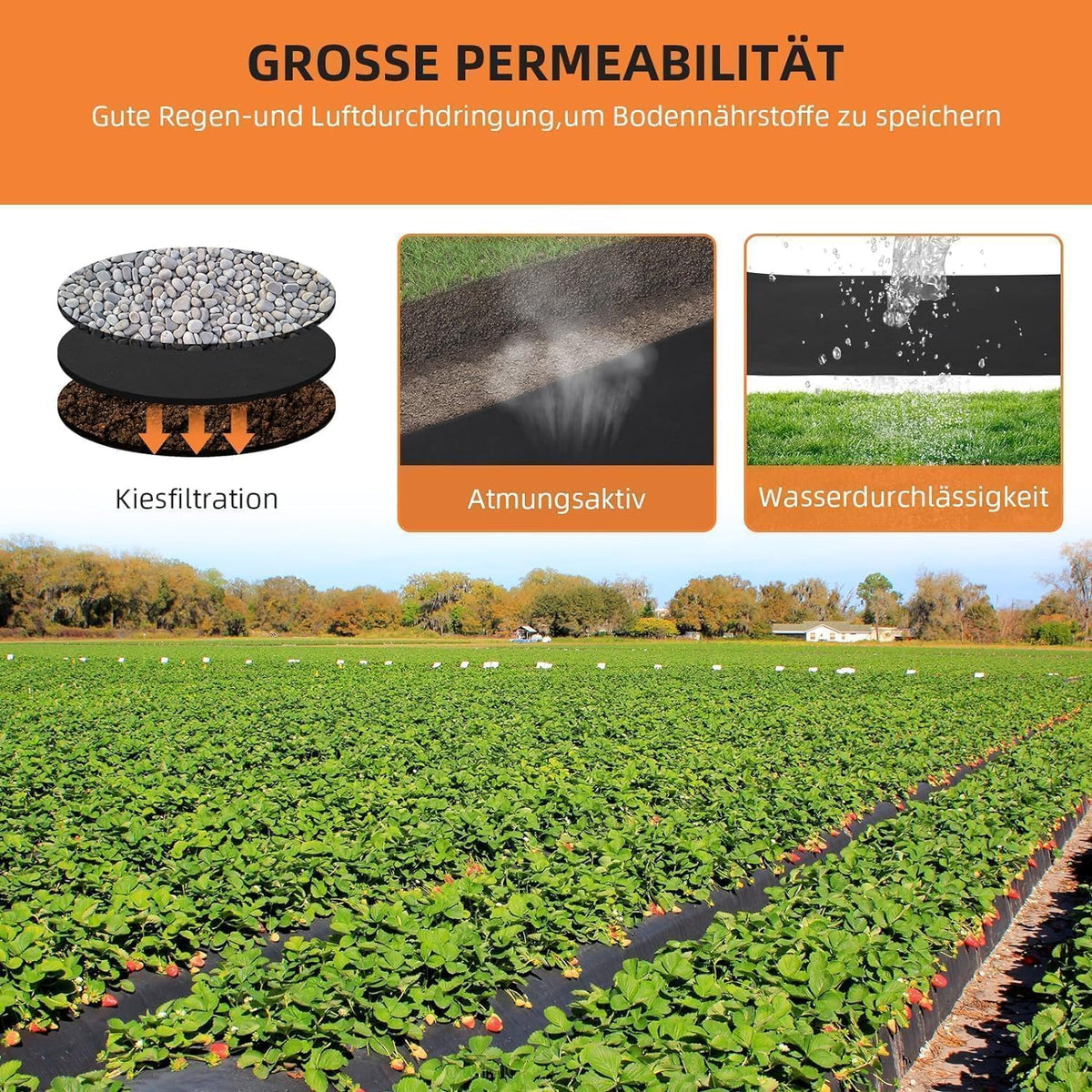 Géotextile de jardin Garvee pour le contrôle des mauvaises herbes, 21 m² (1,4 m x 15 m), en polypropylène (PP), 170 g/m², résistance à la traction de 350 N, drainage, protection contre l'érosion, allées et routes, stabilisation, drains français.