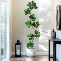 Garvee Ficus Lyrata Artificiel 213 cm, Arbre Décoratif en Forme de S avec Tronc Réaliste et Pot, pour Salon et Bureau