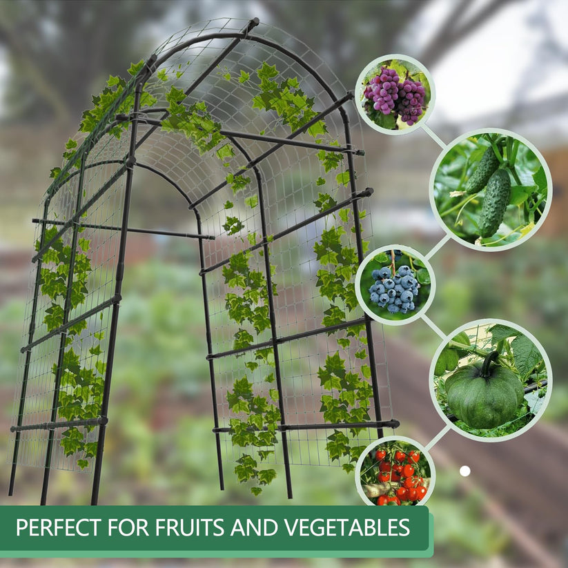 Treillis jardin support légumes fruits grimpants