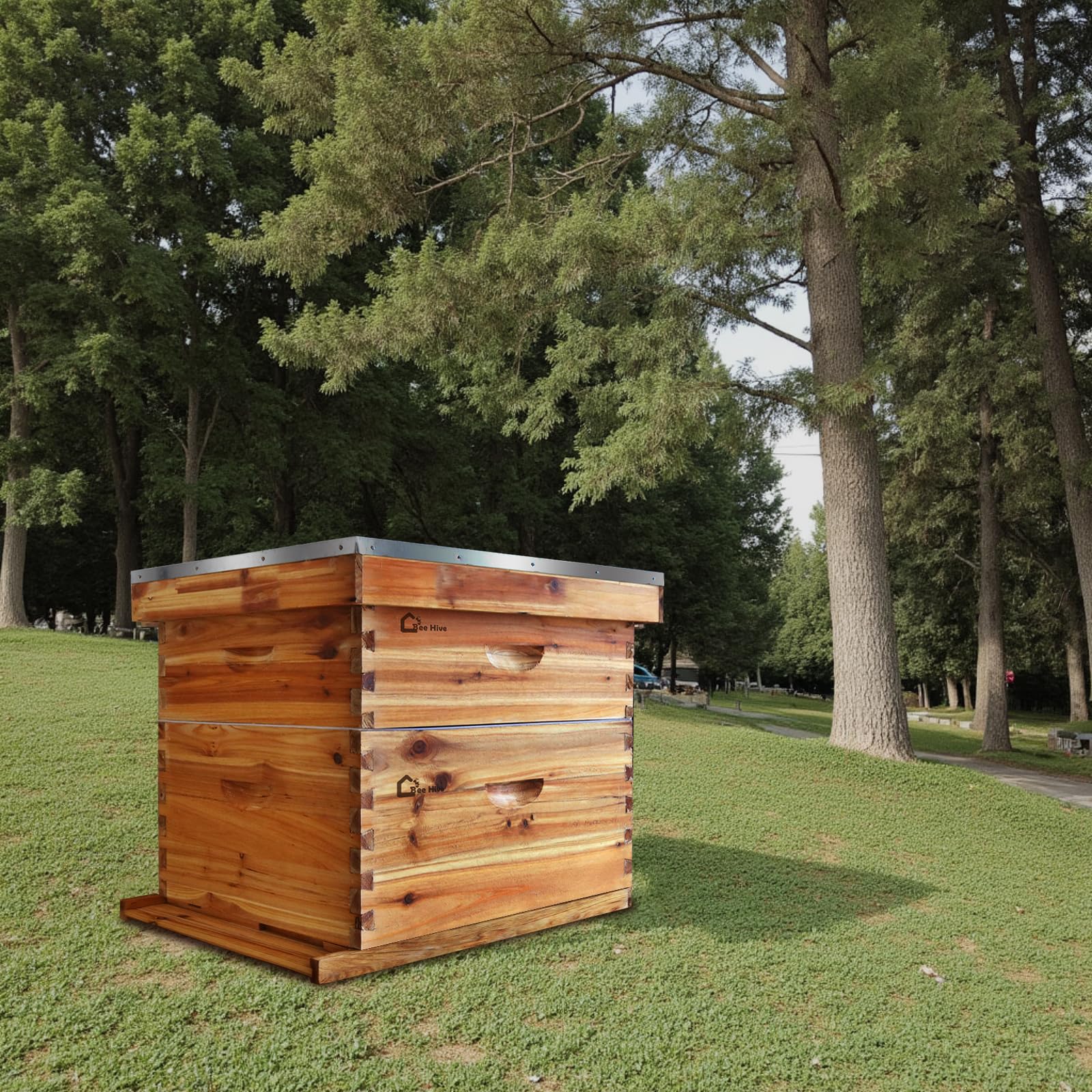 Kit de démarrage pour ruche Langstroth Garvee à 10 cadres en bois de cèdre, revêtement 100 % cire d'abeille, résistant aux intempéries, respectueux des abeilles, idéal pour les débutants