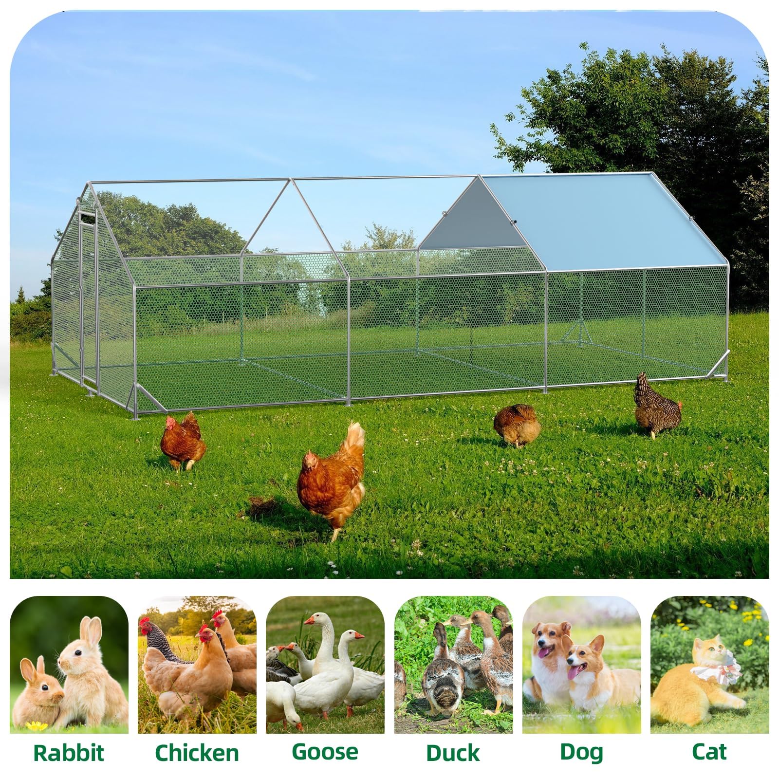 Poulailler métallique Garvee grand format 300 × 600 × 195 cm – Trois compartiments, structure tubulaire en acier triple renforcé pour jardin et ferme