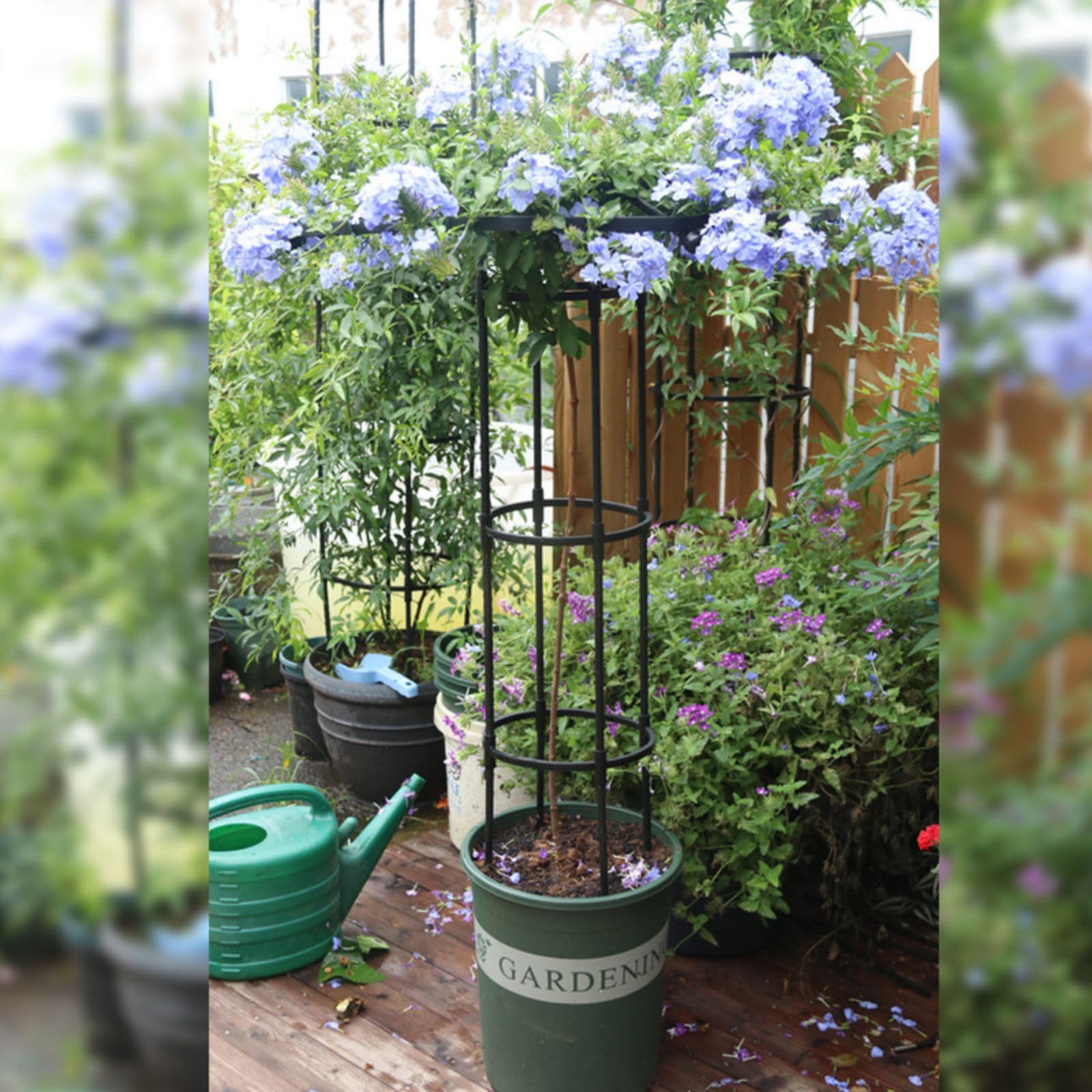 Support vertical rond en treillis Garvee Gardena pour plantes grimpantes, fleurs, arbustes et légumes, en acier, 119 cm (47 pouces), noir.