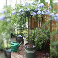 Support vertical rond en treillis Garvee Gardena pour plantes grimpantes, fleurs, arbustes et légumes, en acier, 119 cm (47 pouces), noir.