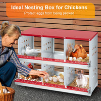 Nichoir Garvee à 6 compartiments – Acier galvanisé, ventilé, robuste, grand pour poules et lapins