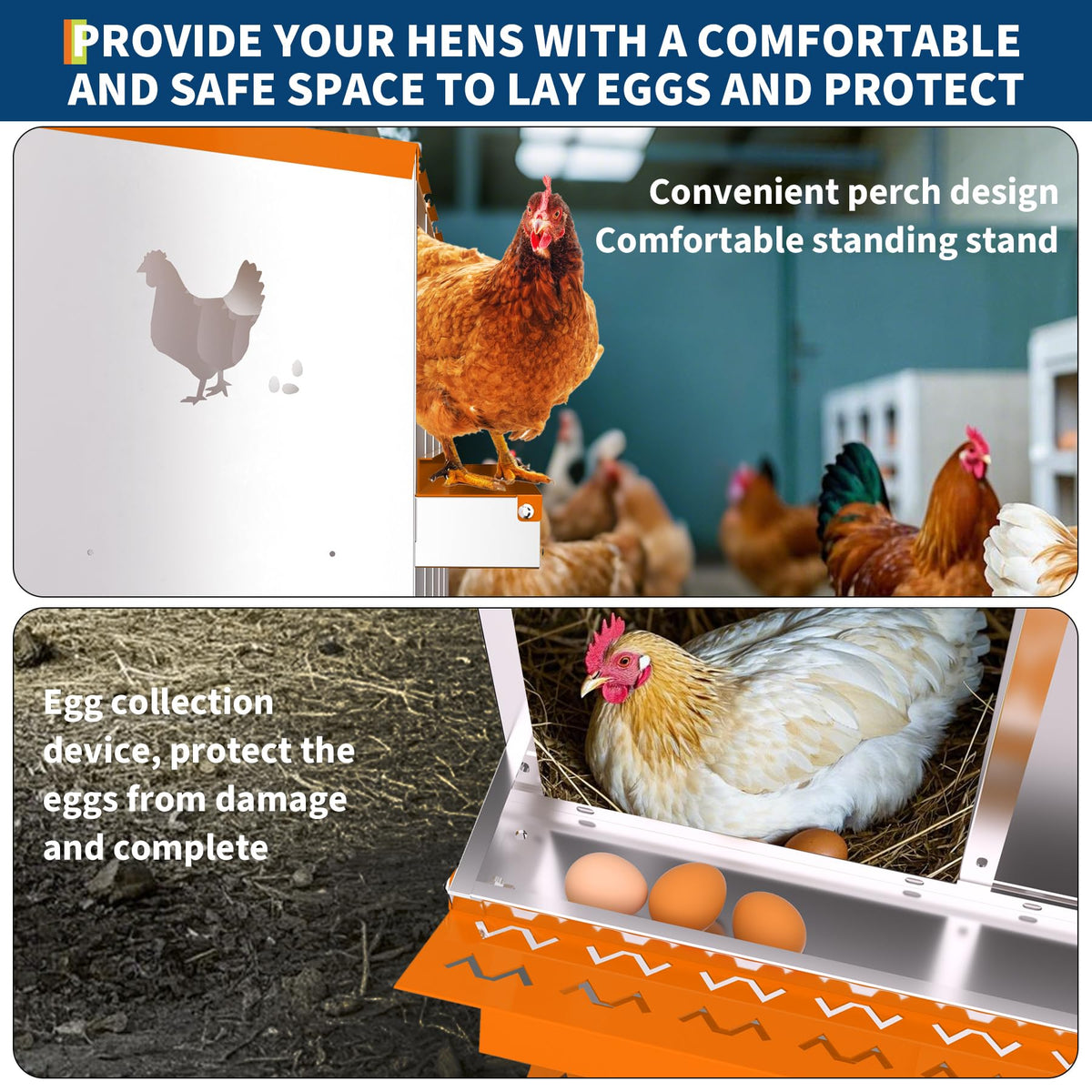 Garvee Nichoir à 6 compartiments, en acier galvanisé avec plateau de récupération des œufs, 81 × 43 × 47,5 cm, pour poules, canards, oies et lapins, jardin et ferme (support non inclus)
