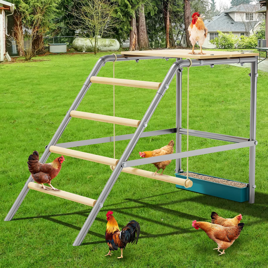 Échelle à poules Garvee à 4 niveaux, 95 x 48 x 71 cm – Avec plateforme, mangeoire et balançoire pour poulailler et enclos