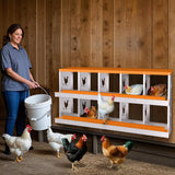 Garvee Boîte À Nid Pour Poules 10 Compartiments Acier Galvanisé Résistante À La Rouille Confortable Pour Poulailler