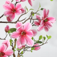 PHK_36RCLGDW