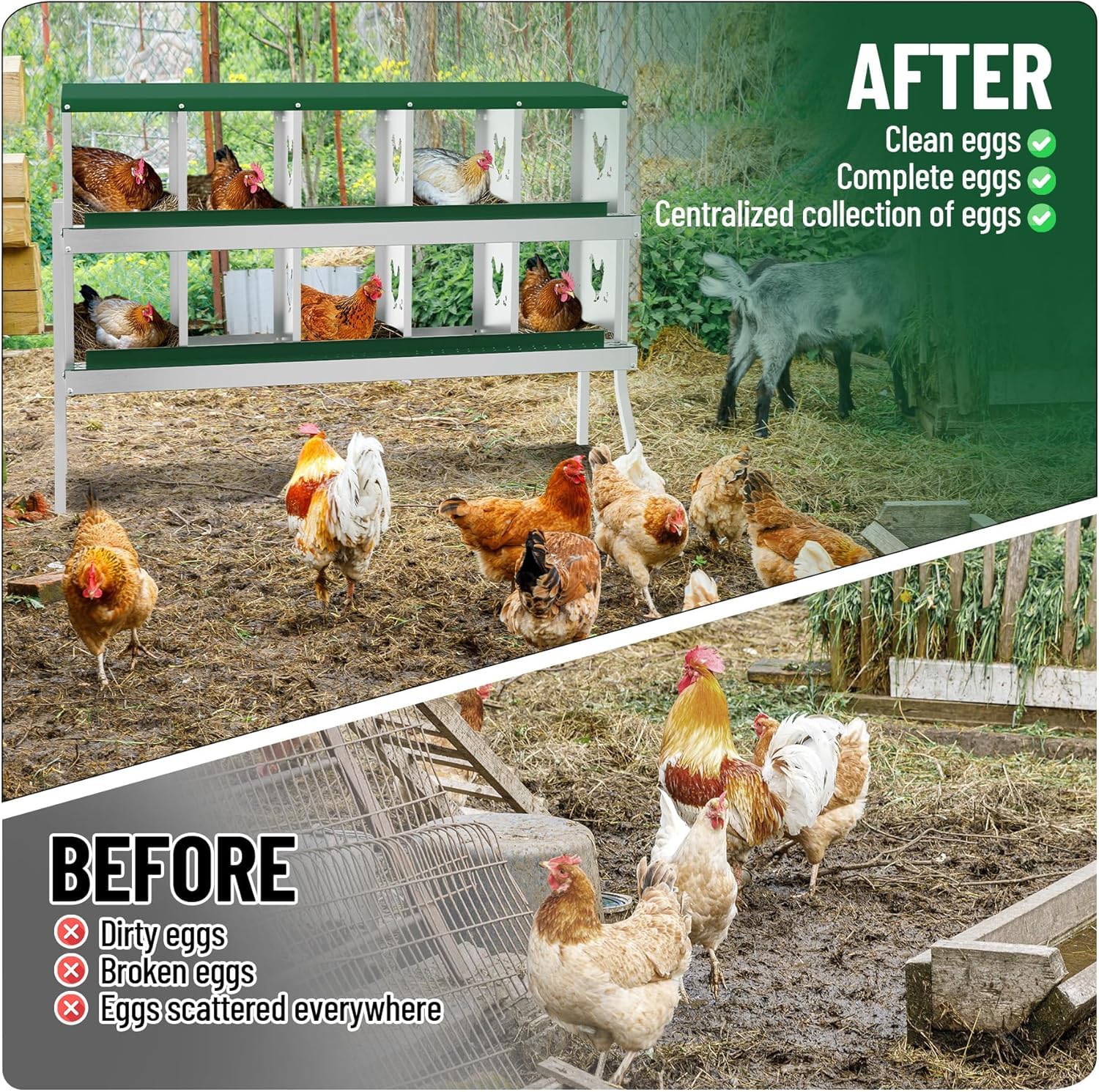 Garvee pondoir pour poules à 10 compartiments avec support métallique, acier galvanisé de 0,7 mm, collecte automatique des œufs, idéal pour poulaillers, fermes et jardins, vert