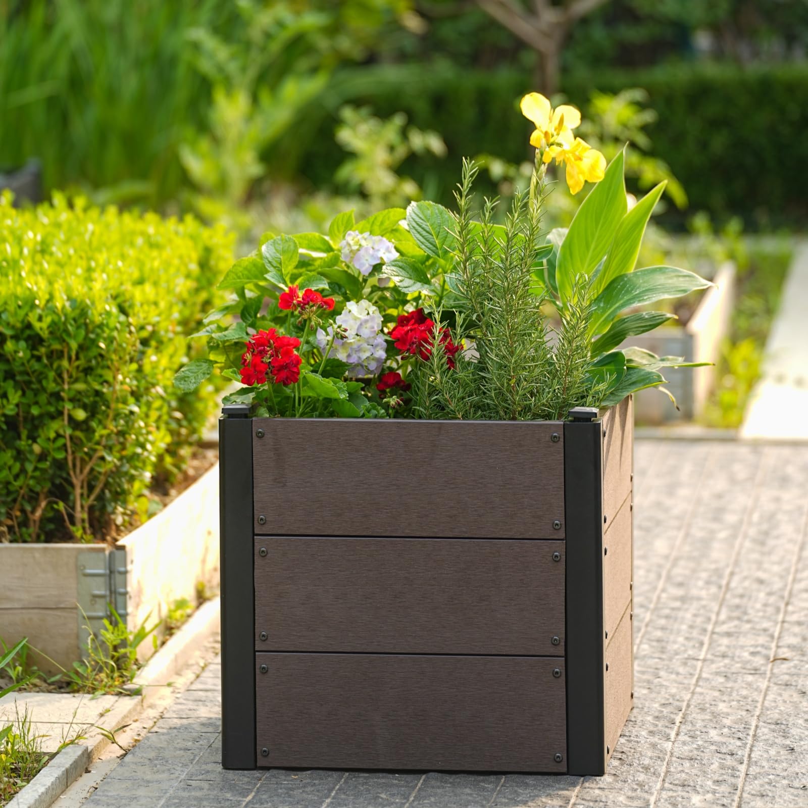 Bac potager décoratif pour légumes herbes aromatiques et fleurs