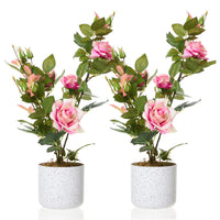 Rosier artificiel Garvee de 50 cm (lot de 2) avec fleurs roses, résistant aux intempéries, pot en plastique blanc pour intérieur et balcon.