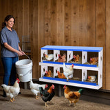 Garvee Boîte à Nid pour Poules 8 Compartiments Acier Galvanisé Bleu - Résistante à la Rouille, Spacieuse et Facile à Installer