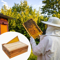 Ruche Langstroth Garvee à 10 cadres en bois de cèdre - Maison à abeilles 100 % cire d'abeille - Hausse moyenne pour l'apiculture - 41 x 50 x 17 cm - Matériel professionnel