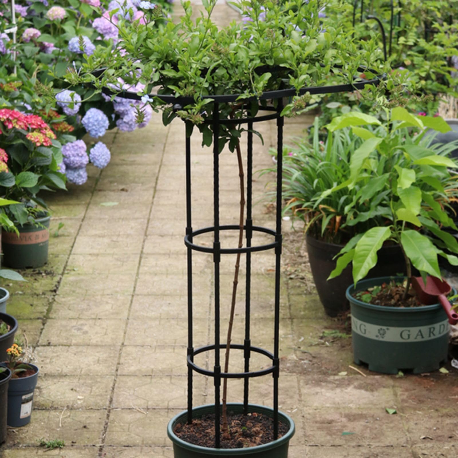 Support pour plantes Garvee, escalier de jardin avec anneau de soutien, en métal résistant aux intempéries, pour jardin et terrasse. Support polyvalent pour hortensias et rosiers.