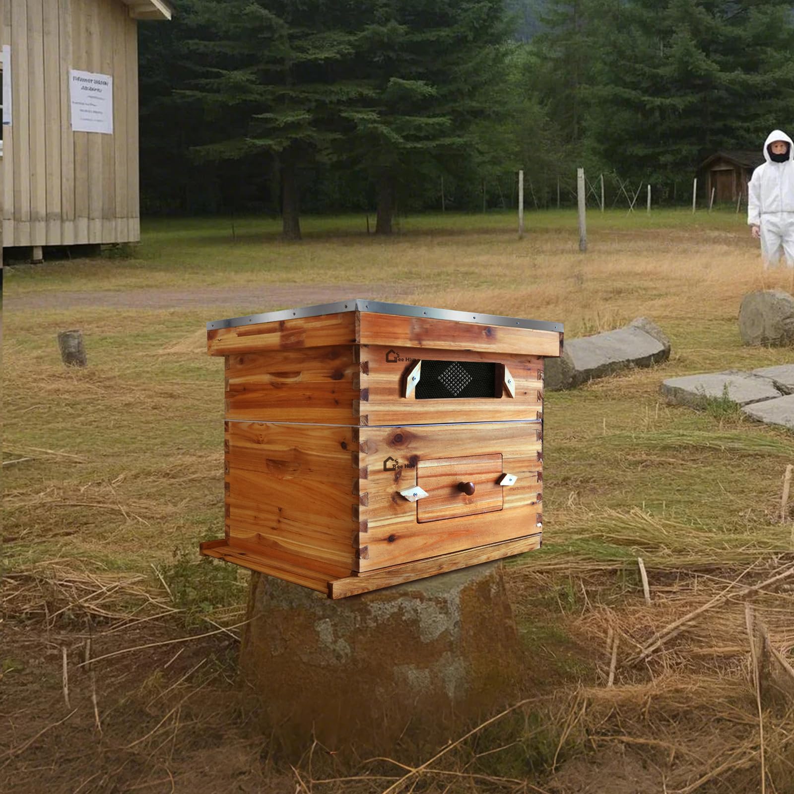 Kit de ruche Garvee Langstroth à 10 cadres avec revêtement en cire d'abeille, bois de cèdre, fenêtre en acrylique, ventilation, kit de démarrage