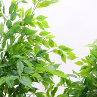 Arbre artificiel d'intérieur Garvee avec feuilles en caoutchouc, tronc naturel, pot stable pour la maison et le bureau, moderne et facile d'entretien.