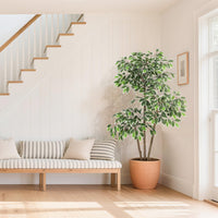 Ficus artificiel Garvee de 1,5 m avec pot haut blanc, tronc ajustable, idéal pour le salon et le bureau, blanc, base stable en terre cuite