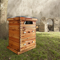Kit de démarrage de ruche Garvee Langstroth à 10 cadres avec 2 hausses et 1 hausse intermédiaire, en bois de cèdre, fenêtre en acrylique, ventilation, idéal pour les apiculteurs débutants.