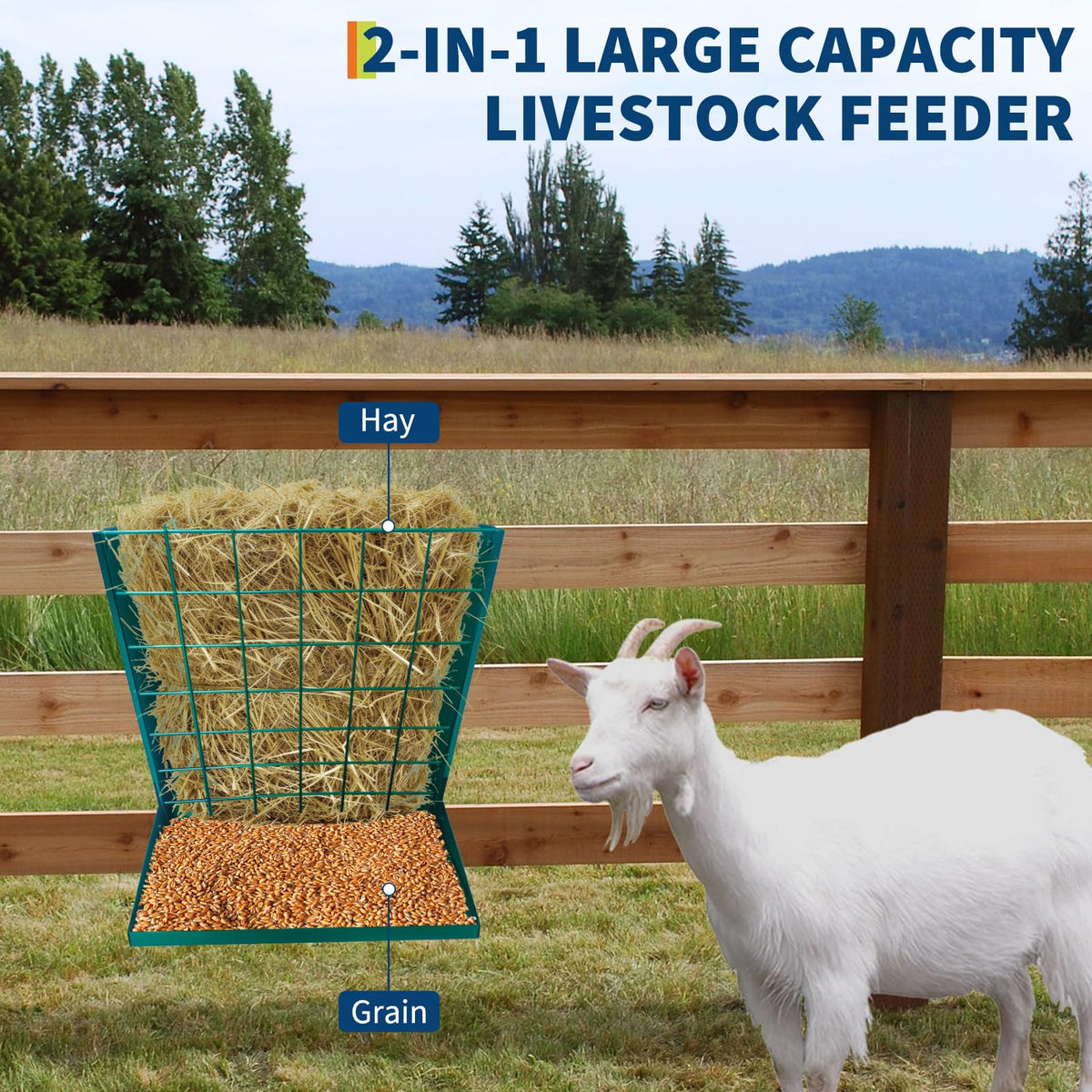 PPG_346BKKHJ