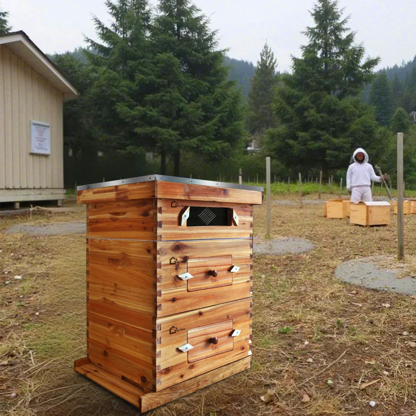 Kit de démarrage de ruche Garvee Langstroth à 10 cadres avec 2 hausses et 1 hausse intermédiaire, en bois de cèdre, fenêtre en acrylique, ventilation, idéal pour les apiculteurs débutants.