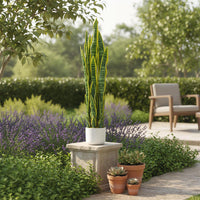 Garvee Plante artificielle Sansevieria 90 cm avec pot blanc, feuillage réaliste vert, décoration sans entretien pour salon, bureau, entrée ou chambre