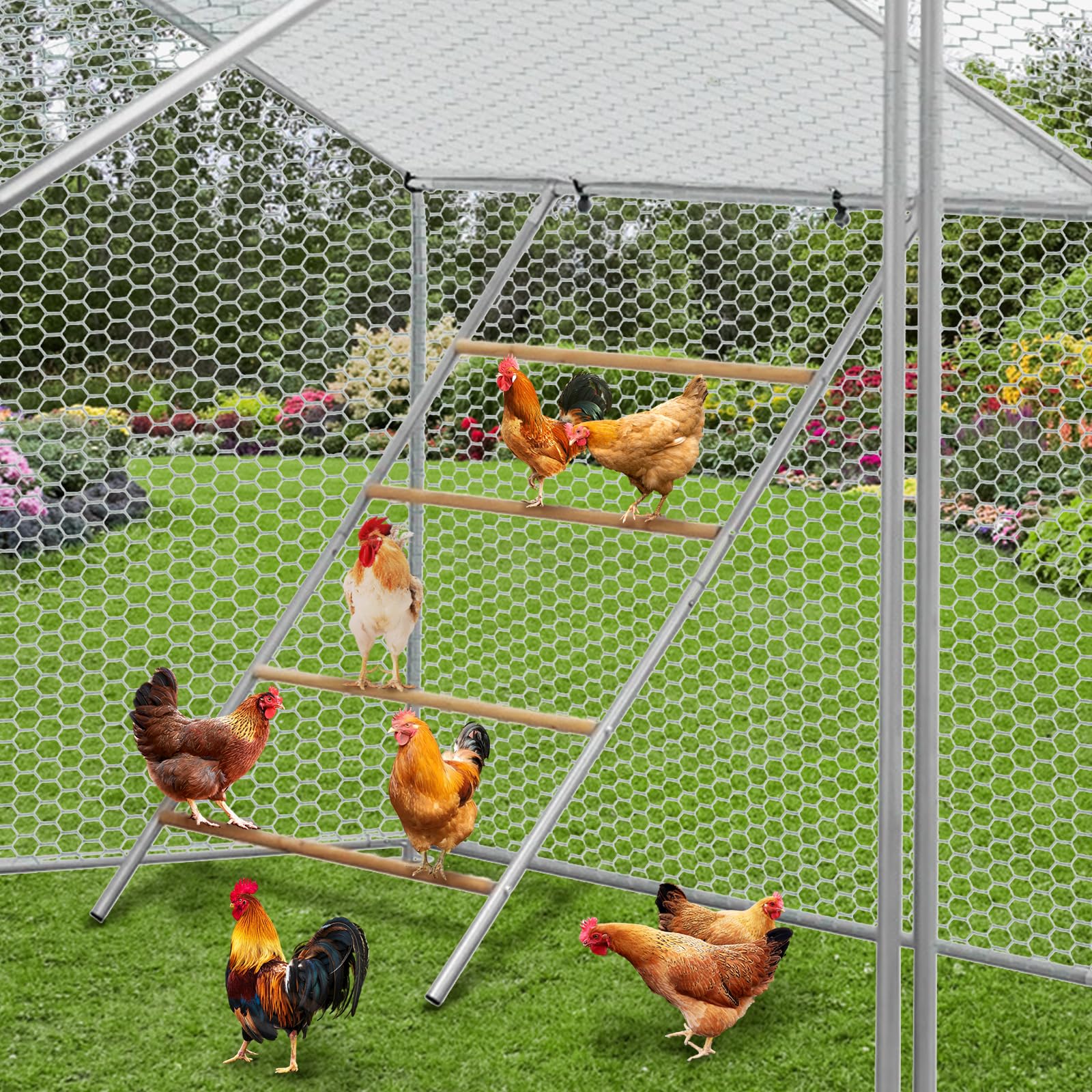 Garvee Perchoir à poules 140 × 102 cm, fer galvanisé et bois, échelle stable multi-niveaux avec barres rondes pour poulailler extérieur