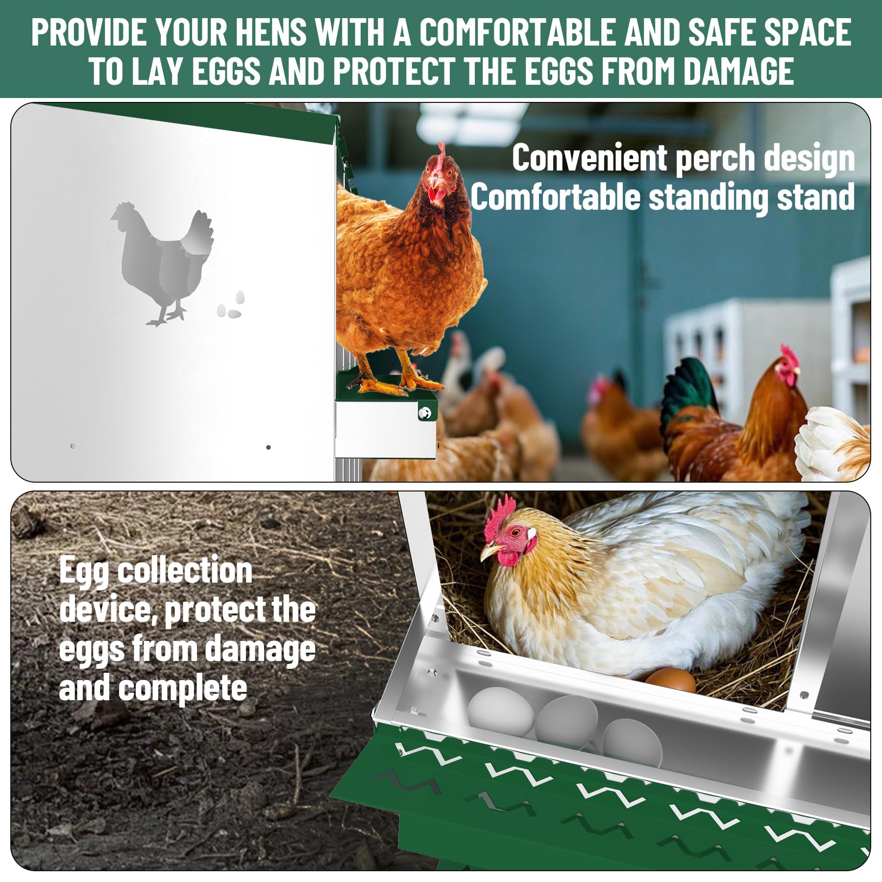 Garvee pondoir pour poules à 6 compartiments avec support métallique, acier galvanisé de 0,7 mm, idéal pour poulaillers, fermes et basses-cours, vert