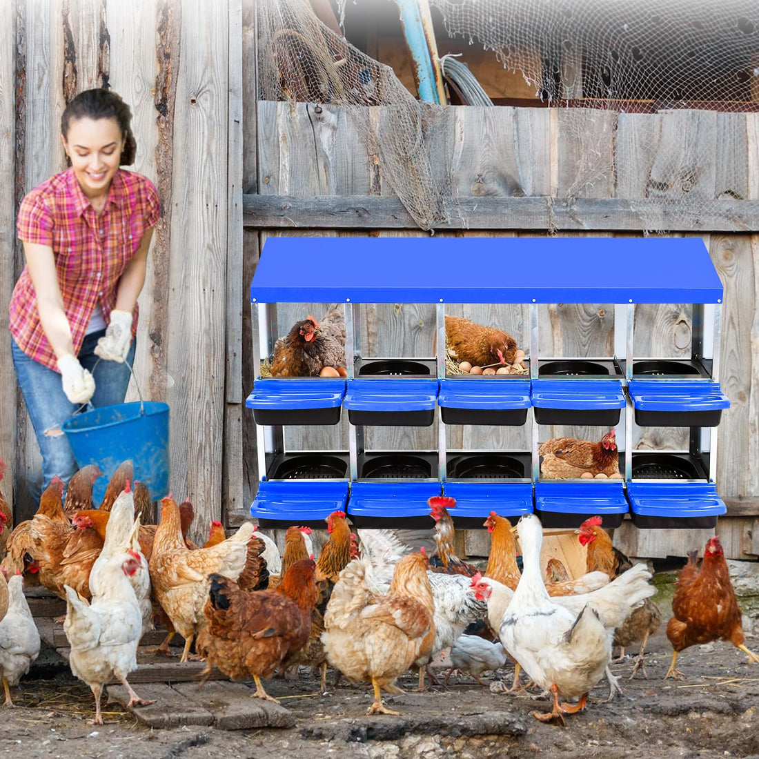 Garvee Pondoir à poules bleu 10 compartiments sans pieds, acier galvanisé, ventilation et système de collecte des œufs, pour poulailler