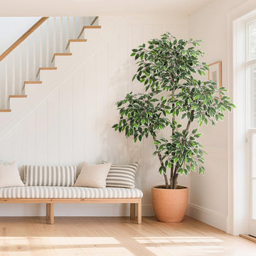 Ficus artificiel Garvee de 1,83 m (6 pi) avec 4 troncs, grand pot blanc pour salon et bureau, 180 cm x 105 cm (70,8 po x 41,3 po).