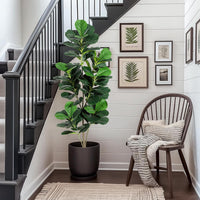 Garvee Ficus lyrata artificiel 152 cm en polyester avec pot blanc, arbre décoratif réaliste et durable pour intérieur et extérieur
