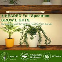 Étagère à plantes Garvee avec lampe de croissance, 7 niveaux, en métal robuste, pour balcon et salon, noire
