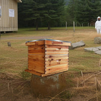 Kit de démarrage pour ruche Langstroth Garvee à 10 cadres en bois de cèdre, revêtement 100 % cire d'abeille, résistant aux intempéries, respectueux des abeilles, idéal pour les débutants