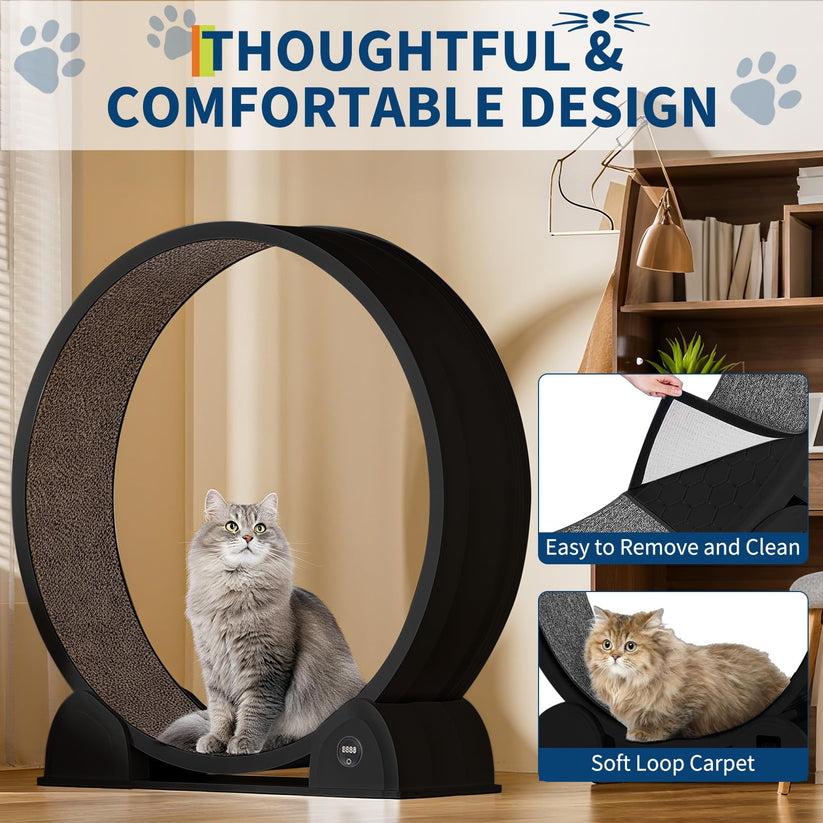 Roue d’exercice pour chat avec podomètre intégré