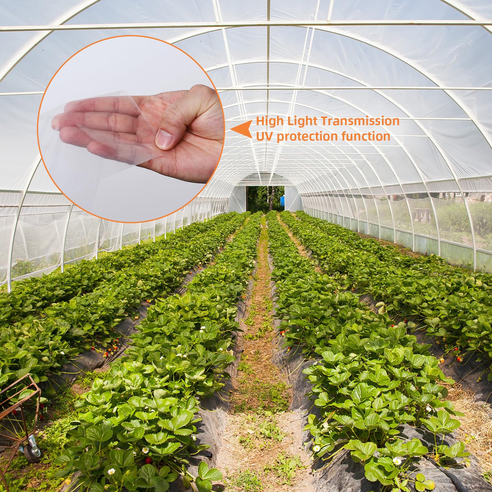 Film de serre Garvee 7,61 x 12,19 m, film en polyéthylène transparent extra épais, protection UV pour jardin et ferme