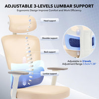 Chaise de bureau ergonomique Garvee en maille avec soutien lombaire réglable, dossier haut, accoudoirs 3D, structure en métal, pivotante, pour bureau et télétravail, noire