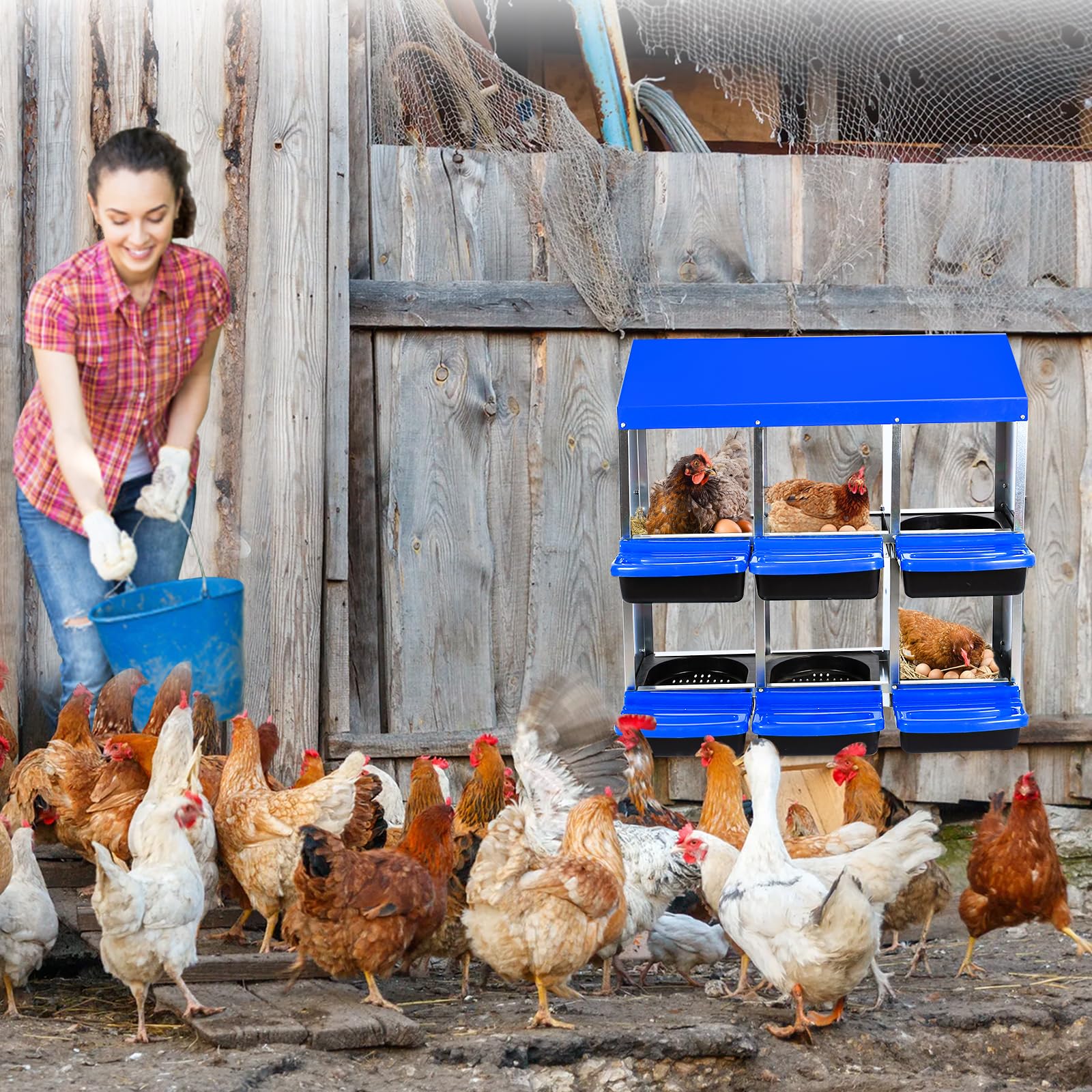 Garvee Pondoir à poules bleu 6 compartiments sans pieds, acier galvanisé, ventilation et système de collecte des œufs, pour poulailler