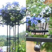 Support pour plantes Garvee, escalier de jardin avec anneau de soutien, en métal résistant aux intempéries, pour jardin et terrasse. Support polyvalent pour hortensias et rosiers.