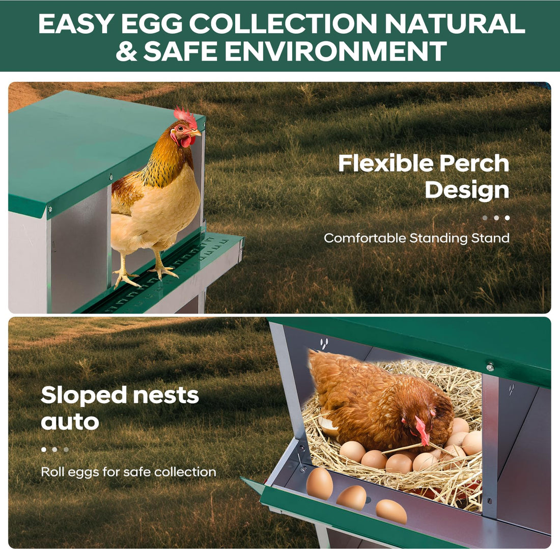 Garvee Nichoir à poules 6 compartiments, acier galvanisé, système de roulement, ventilé, sans outil, fixation murale, poulailler, jardin
