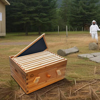 Ruche Garvee Langstroth à 10 cadres, corps de ruche profond, en bois de cèdre, avec fenêtres en acrylique transparent et revêtement 100 % cire d'abeille, idéale pour l'apiculture extérieure.