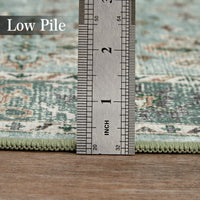 PHK_34LUCY9R