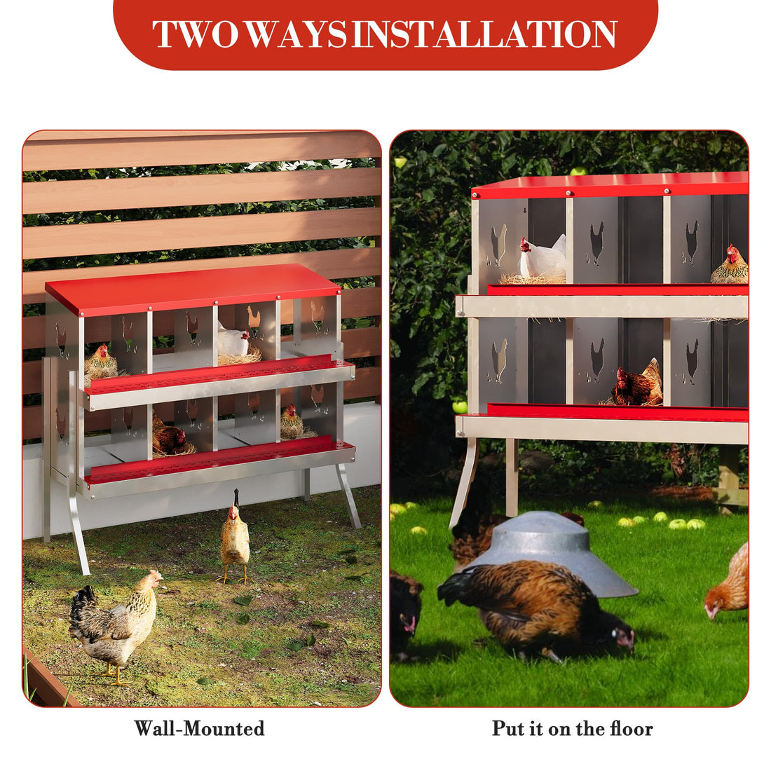 Garvee pondoir pour poules à 8 compartiments avec support métallique, acier galvanisé de 0,7mm, système de collecte des œufs par roulement