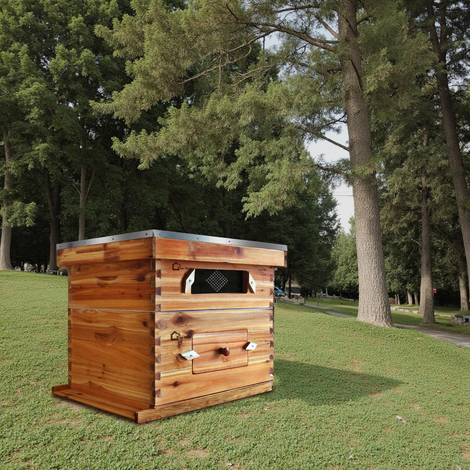 Kit de ruche Garvee Langstroth à 10 cadres avec revêtement en cire d'abeille, bois de cèdre, fenêtre en acrylique, ventilation, kit de démarrage