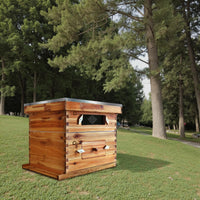 Kit de ruche Garvee Langstroth à 10 cadres avec revêtement en cire d'abeille, bois de cèdre, fenêtre en acrylique, ventilation, kit de démarrage