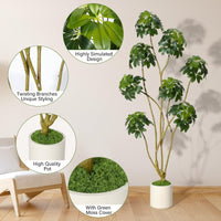 Arbre parasol artificiel Garvee de 1,83 m (6 pi) de haut, plusieurs tiges, pot en PE blanc, pour la décoration de la maison et du bureau, 178 x 70 cm (70 x 27,5 po).