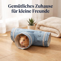 FQZPE_LTKQZBWO