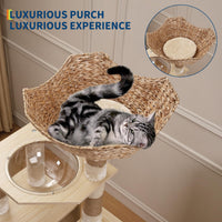 Arbre à chat Garvee 170 cm avec bac à litière et station de gamelle, grand griffoir pour salon, coussins lavables, beige